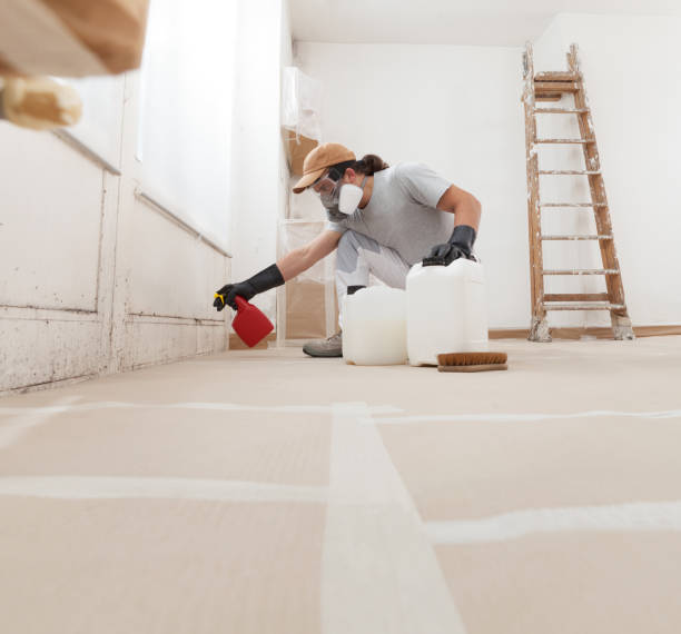 Best Real Estate Mold Inspection  in Spearfish, SD