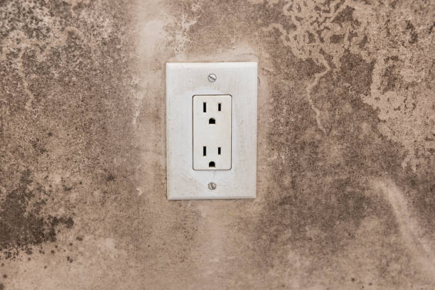 Best Air Quality Testing for Mold Spores  in Spearfish, SD